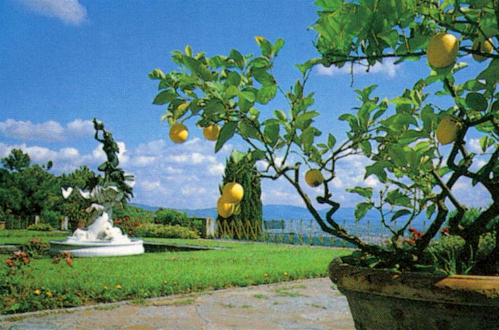 Hotel Villa Le Rondini Florencie Exteriér fotografie